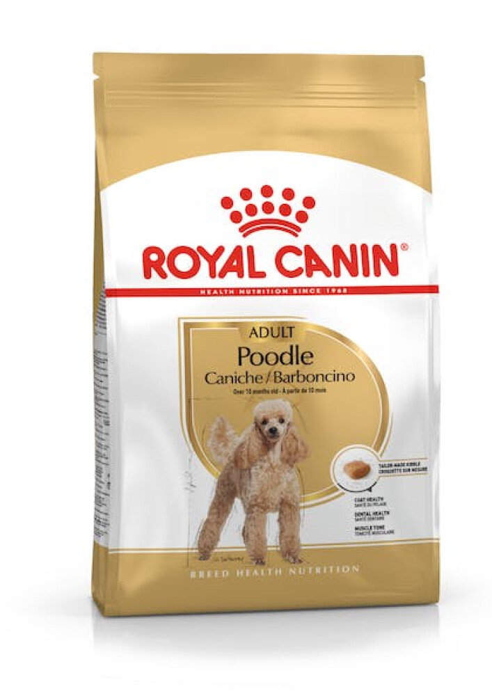 Poodle Adult 1,5kg