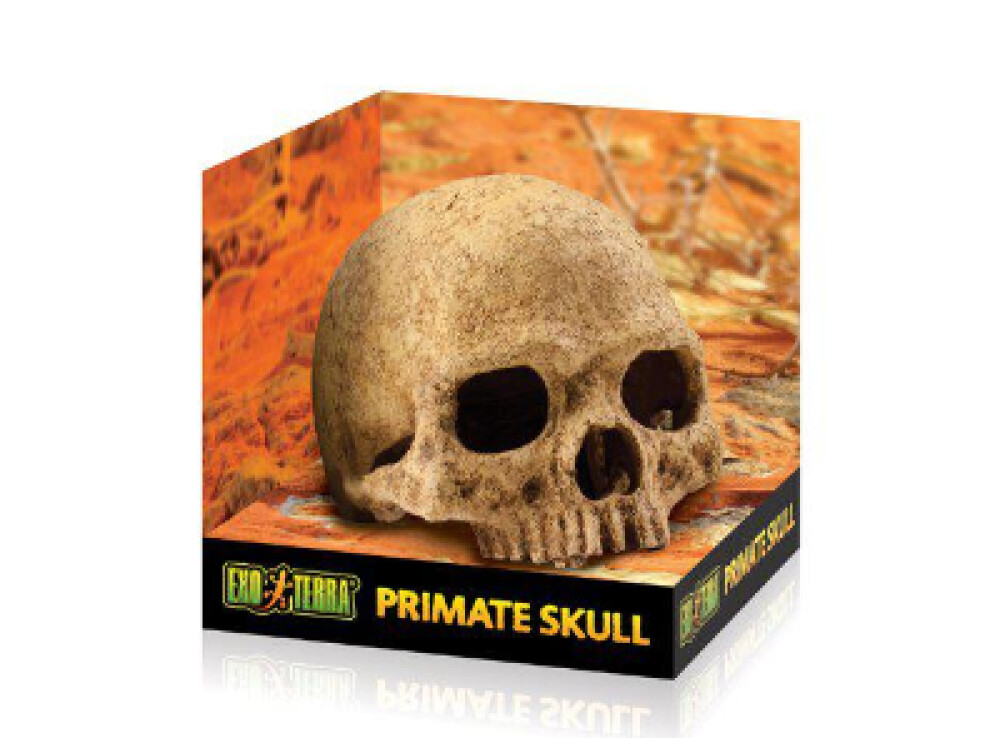 ExoTerra Primate Skull large 17x13,5x11cm
