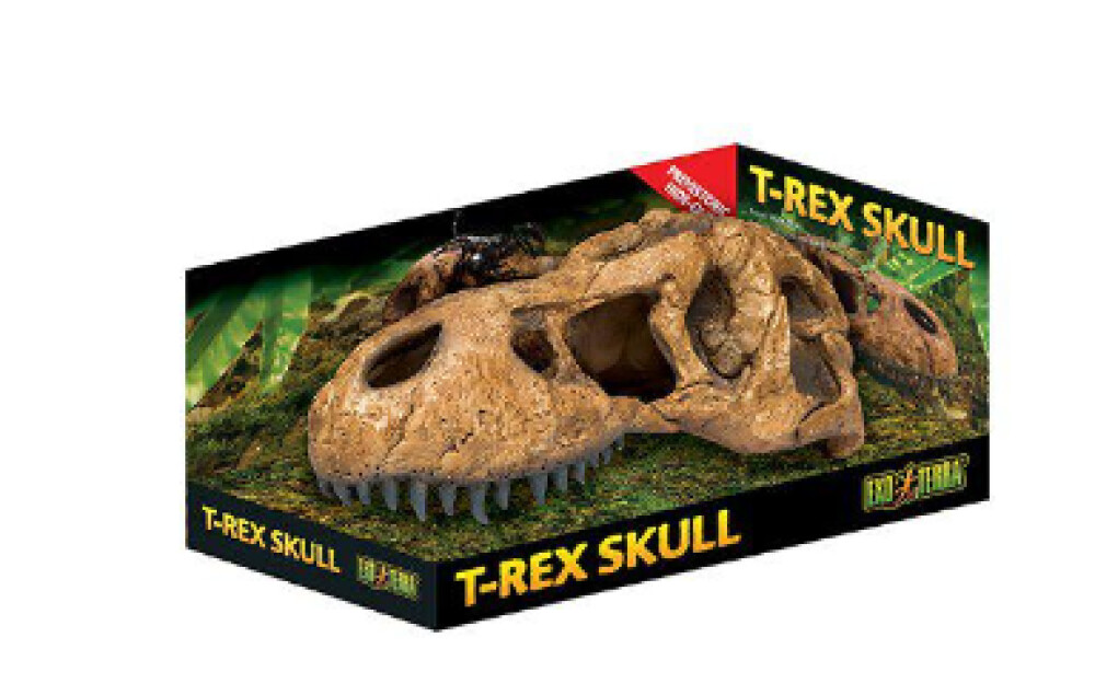 Exoterra T-rex skull 23x10cm