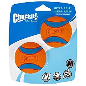 Chuckit Ultra Squeaker Ball 2pk