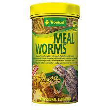 TROPICAL MEALWORMS 250ML / 30G