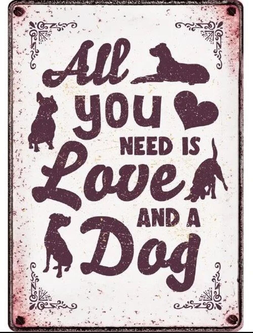 Metallskilt All You Need Is Love And a Dog 21x14,8