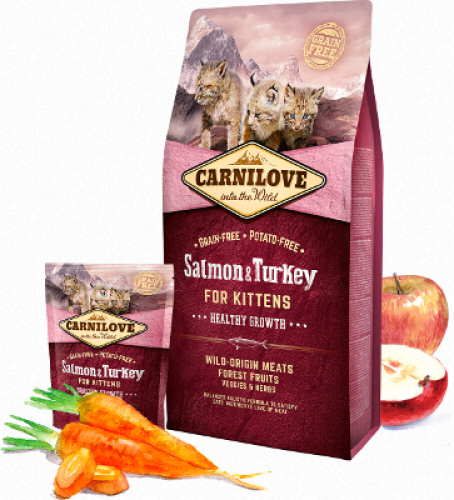 Carnilove Kitten Salmon & Turkey