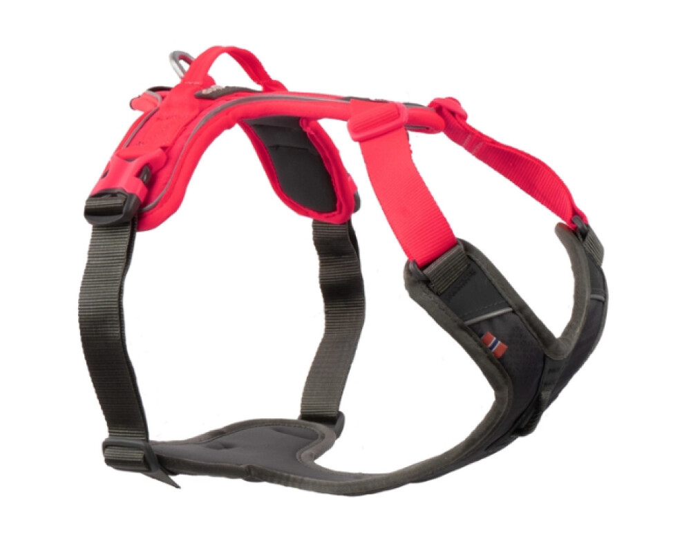 Non-Stop Ramble harness Rosa