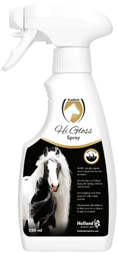 Hi Gloss Spray 250ml