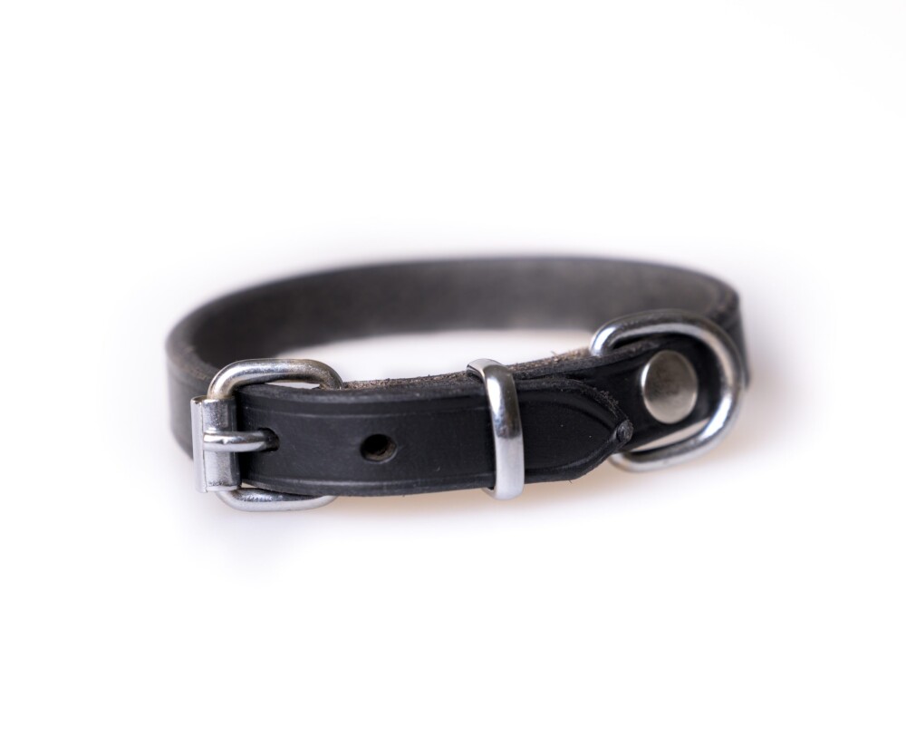 Active Canis Leather Collar Svart