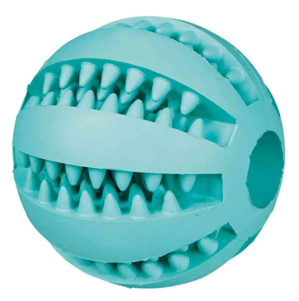 Hundeleke Dentafun Ball M/Mint 5cm