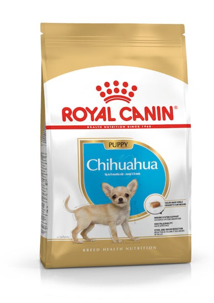 Chihuahua Puppy 1,5kg