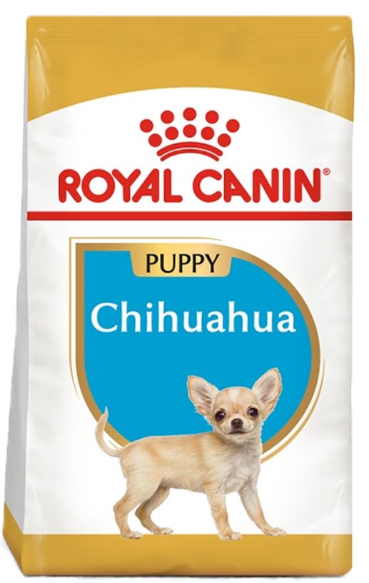 Chihuahua Puppy 1,5kg
